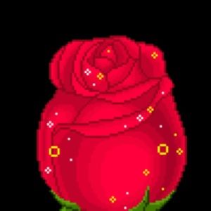 Meet your Posher, Cathy